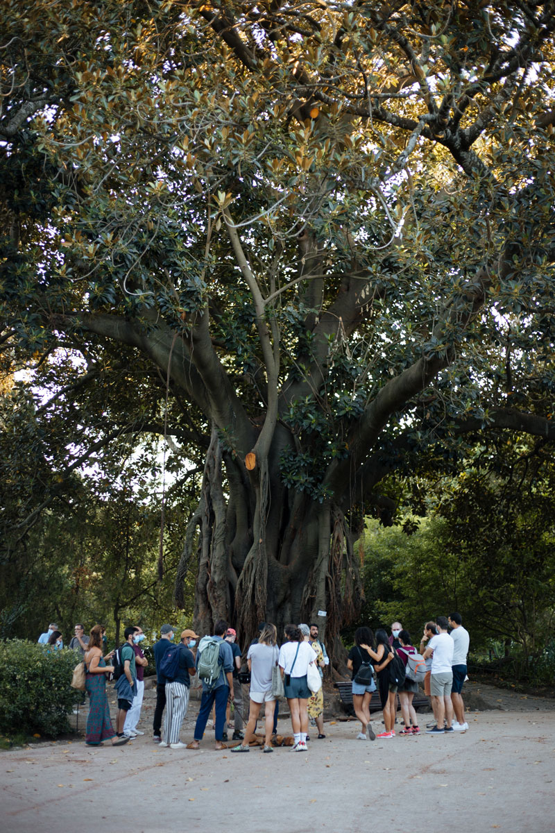 JA2021 LIS VER 20210904 VISITA JARDIM DA ESTRELA SARA MOINHOS