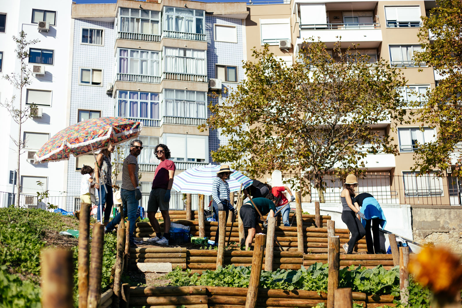 JA2022 LIS PRI 20221015 jardinagem colectiva horta alto da eira sara moinhos