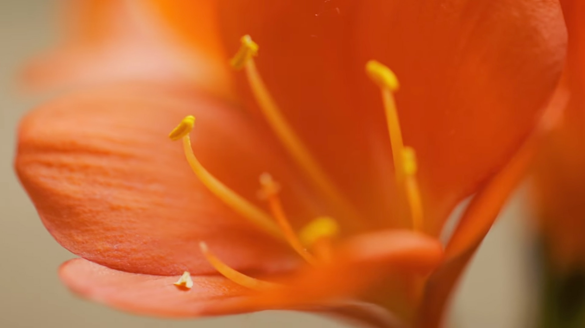 Jardins Secretos