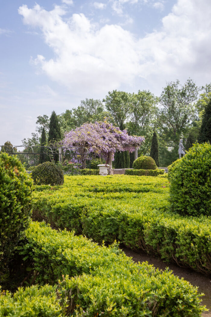 Jardim palacio fronteira abril 2025 clau pereira