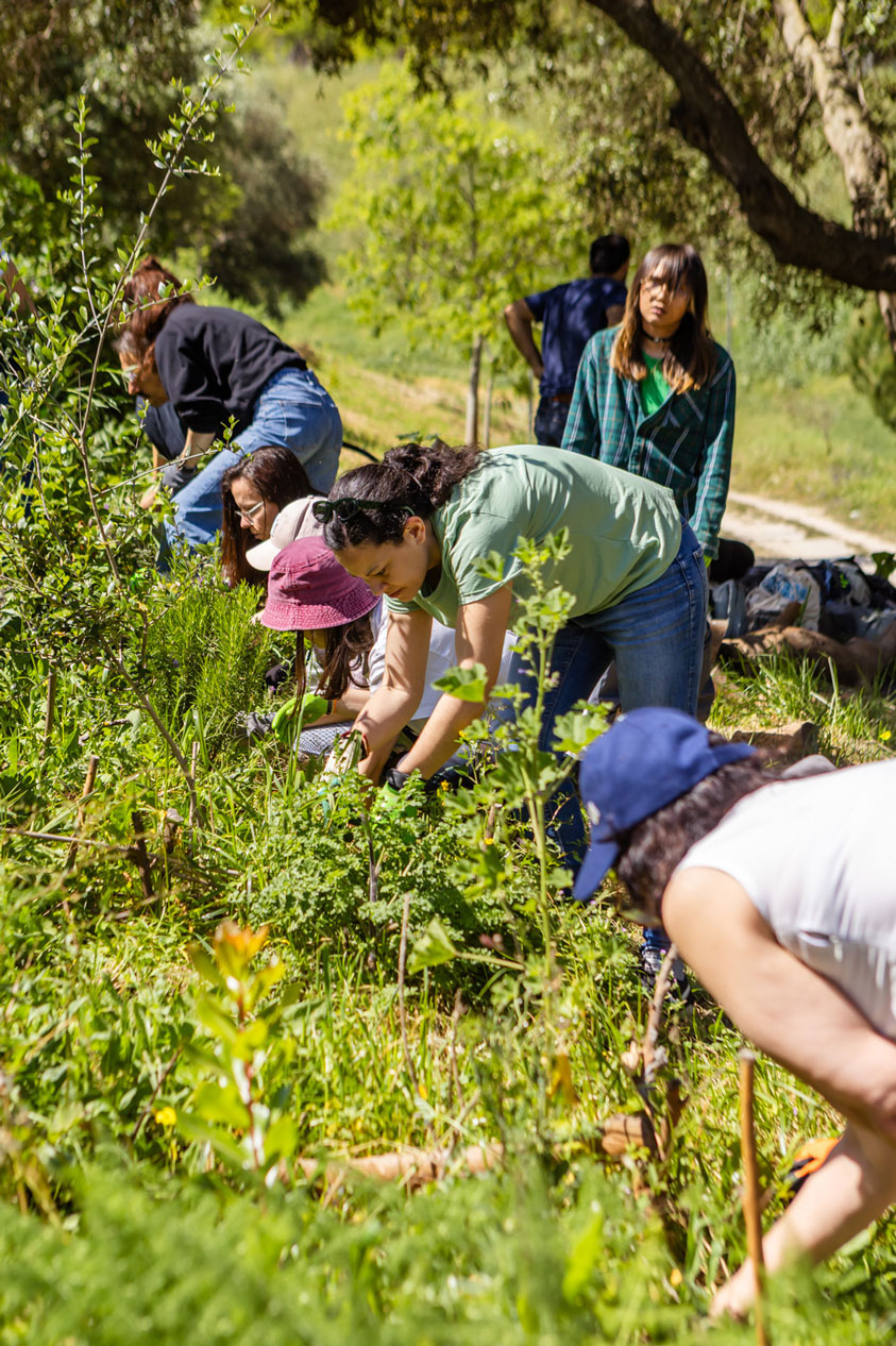 JA2026 urbem forests voluntarios 2026 clau pereira